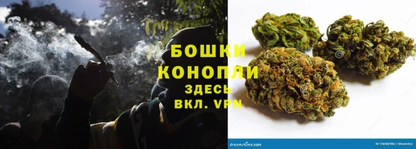 сатива Корсаков