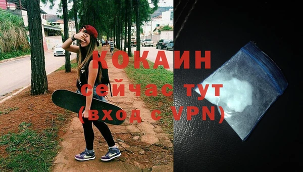 прущие грибы Коряжма