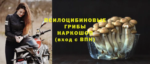 спиды Кодинск