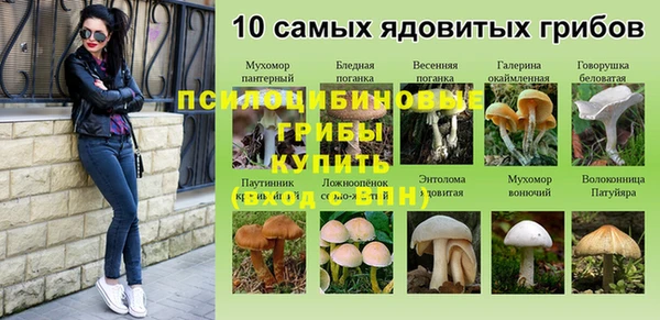 бошки Кинешма