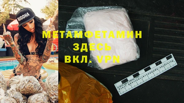 прущие грибы Коряжма