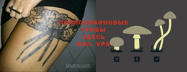спиды Кодинск