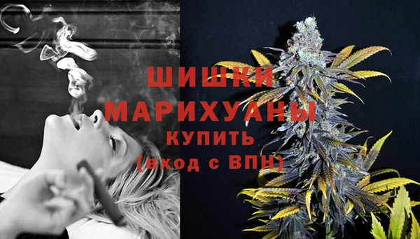 прущие грибы Коряжма