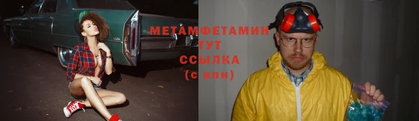 сатива Корсаков