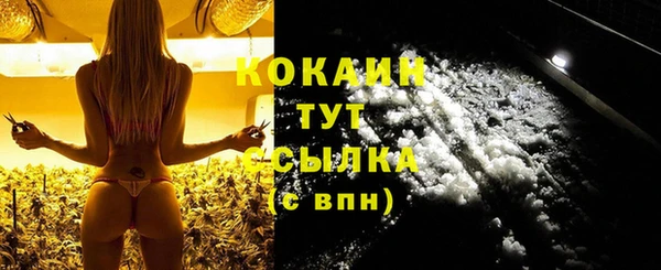 прущие грибы Коряжма