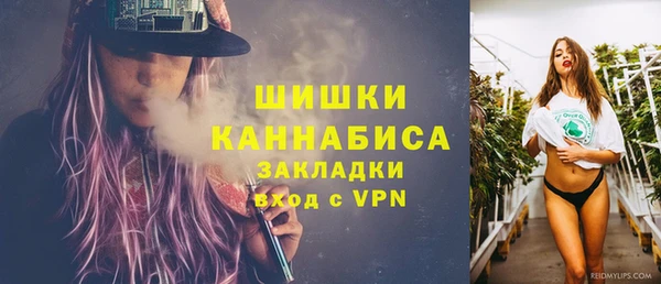 сатива Корсаков