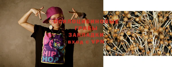 спиды Кодинск