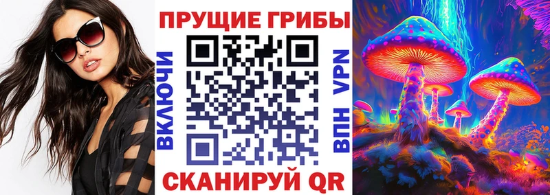 Псилоцибиновые грибы ЛСД  купить наркоту  Костомукша 